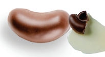 Praline: Rumbohne